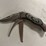 #10823-•-3-blade-knife-w/gut-hook-blade-image-2