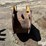 420-backhoe-bucket-image-6
