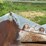 #52640-•-hutchinson-86'-grain-conveyor-945521-inv#52640-image-54