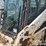 2011-bobcat-s185-image-26