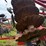 #52651-•-case-ih-335-vt-38'-vertical-tillage-tool-yfd079741-inv#52651-image-45