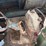 ford-model-a-image-24