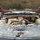 2002-chevrolet-silverado-2500hd-image-36