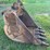 41"-tooth-excavator-bucket-image-2