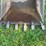 28"-tooth-excavator-bucket-image-9
