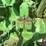 john-deere-4630-image-16