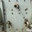 1997-pioneer-wash-plant-image-16