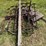 #419-•-spike-tooth-drag,-and-land-leveler-image-1