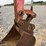 kubota-kx71-3-image-28