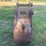 21"-tooth-excavator-bucket-image-4