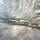 #10658-•-winchester-sxp-hybrid-hunter,-12-ga.-pump-action-shotgun,-sn:-tr6024-002161sp-image-3