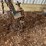 #1243-•-tow-bar-image-4