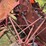 #420-•-mccormick-corn-picker-image-13