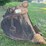 21"-tooth-excavator-bucket-image-2