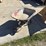 #63-•-plastic-wheelbarrow-image-2