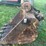 41"-tooth-excavator-bucket-image-6