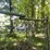 #6181-•-dog-kennel-image-6