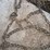 #1241-•-(2)-sets-of-tire-chains-image-10