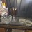 #422-•-lot-422-image-1