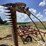 new-holland-455-image-9