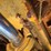 2005-caterpillar-d5n-xl-image-52