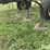 john-deere-field-cultivator-image-18