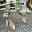 1951-john-deere-m-image-41