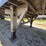 2016-wilkens-walking-floor-image-22