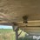 1981-wilson-grain-trailer-image-16