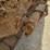 2019-caterpillar-d6-image-102