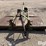 john-deere-709-image-2