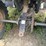 1991-polaris-trail-boss-250-image-34