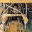 2019-caterpillar-320-image-32