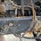 1997-peterbilt-379-image-17