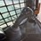 2023-bobcat-t595-image-16