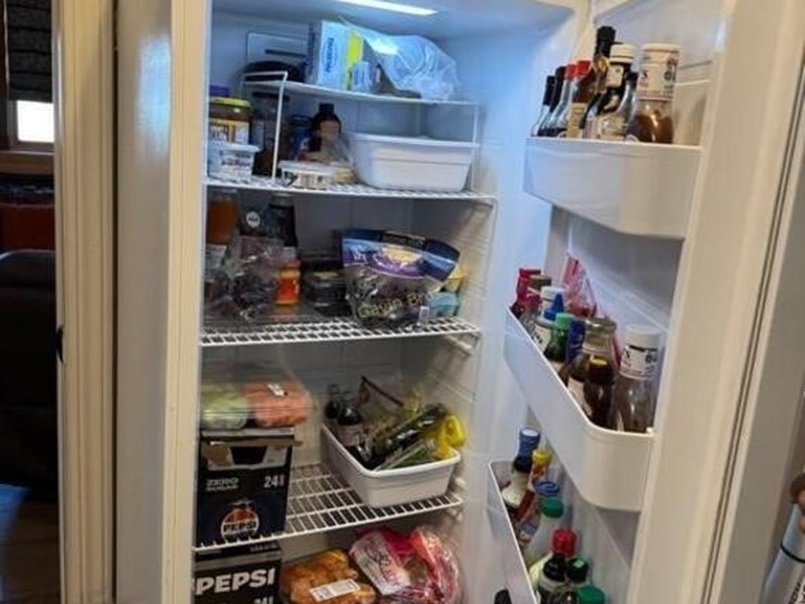 insignia-upright-freezer/fridge-image-4