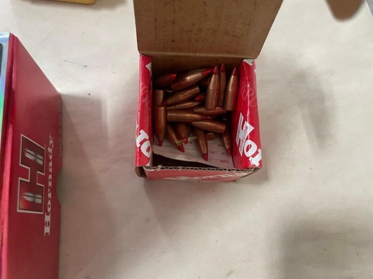 large-lot-of-22cal-bullets-image-8