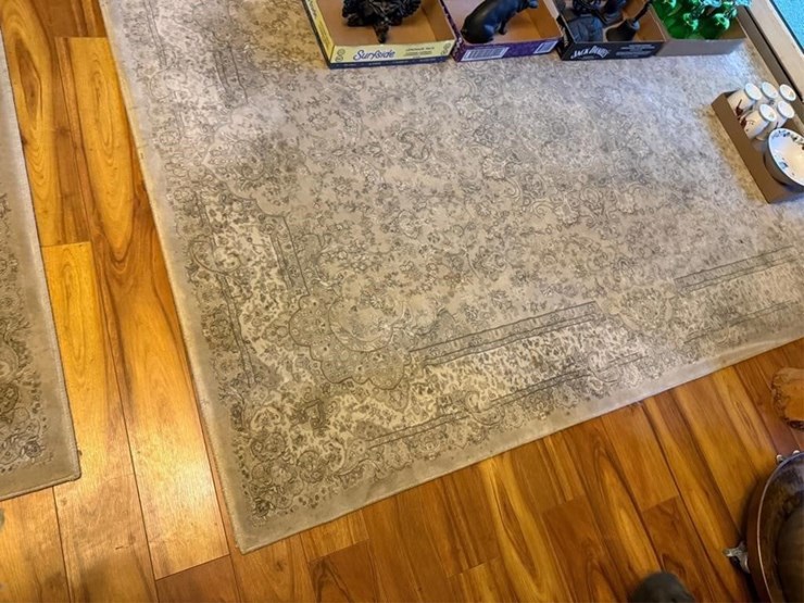 (3)-misc-rugs-image-3