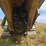 2019-caterpillar-320-image-109
