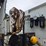 2010-freightliner-m2-106-image-73