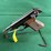 walther-mdl.ppk-l-22lr-pistol-image-5