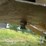 2007-clement-dump-trailer-image-16