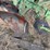 john-deere-three-point-three-bottom-plow-image-9