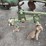 1951-john-deere-m-image-17