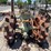 fordson-f-image-4