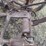 john-deere-no.-4-sickle-bar-mower-image-10