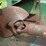 artsway-420-image-22