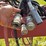 case-ih-ntx5310-image-12