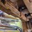 2005-caterpillar-d5n-xl-image-64