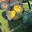 john-deere-model-b-image-32